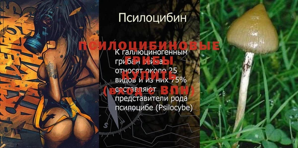 гашик Алексин