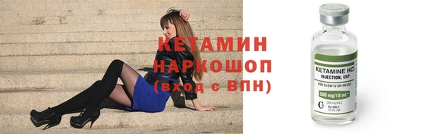 гашик Алексин
