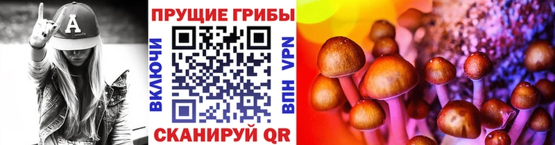darknet какой сайт  Тутаев  Псилоцибиновые грибы GOLDEN TEACHER 