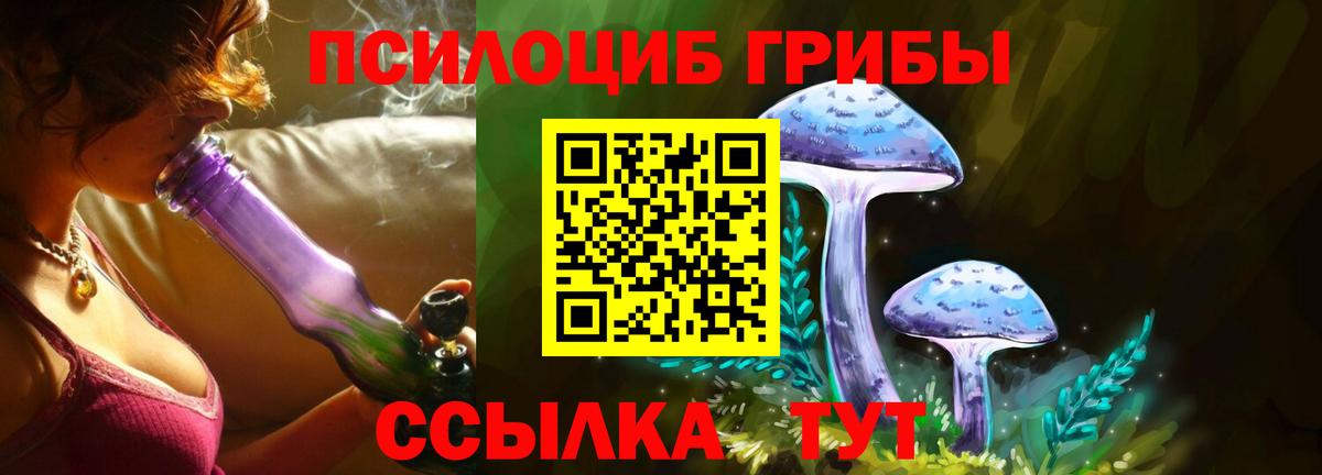 Тутаев  как найти наркотики  Псилоцибиновые грибы мухоморы  Вход с VPN  Псилоцибиновые грибы Cubensis 